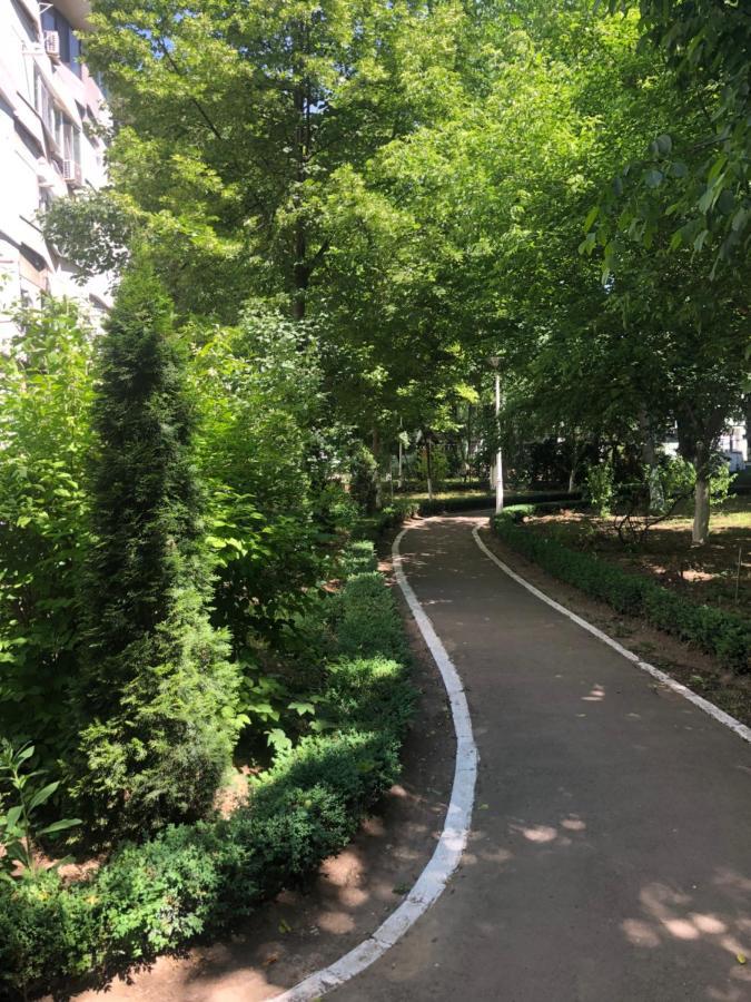 Laguna Apartament Браїла Екстер'єр фото